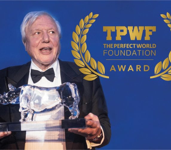 Award-förstasidan