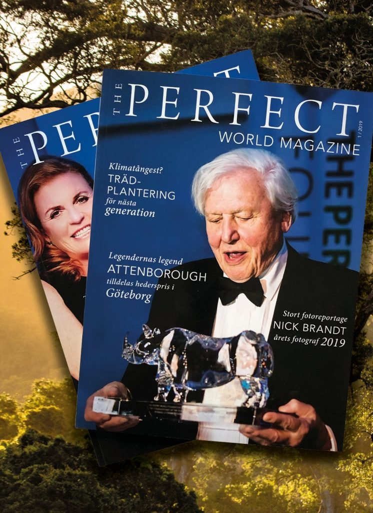The Perfect World Foundation The Perfect World Foundation Is A Non Profit Organization Working With Wildlife And Nature In Crisis Around The World By Increasing Knowledge And Spreading Awareness Our Aim Is The Perfect World Foundation The Perfect World Foundation Is A Non Profit Organization Working With Wildlife And Nature In Crisis Around The World By Increasing Knowledge And Spreading Awareness Our Aim Is