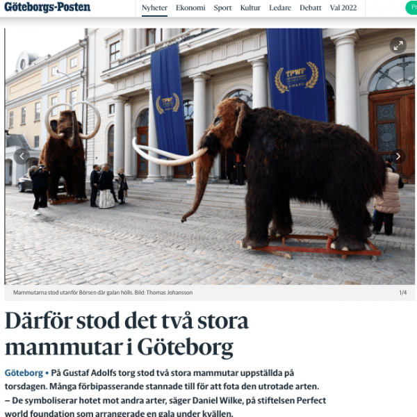 Skärmavbild 2022-05-18 kl. 10.14.37